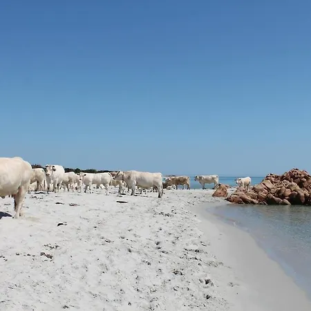 Apartamento Casa Su Lidone Cala Liberotto