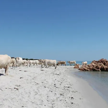 Apartmán Casa Su Lidone Cala Liberotto